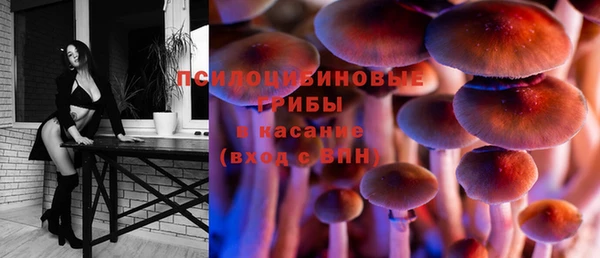 спайс Алексин