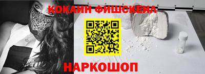 стафф Гатчина