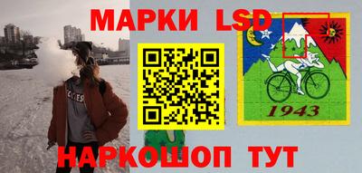 стафф Гатчина