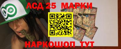 стафф Гатчина