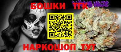 стафф Гатчина