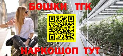 стафф Гатчина