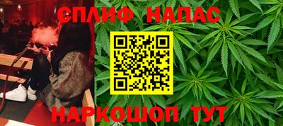 дмт Гай