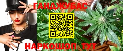 стафф Гатчина