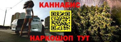 дмт Гай