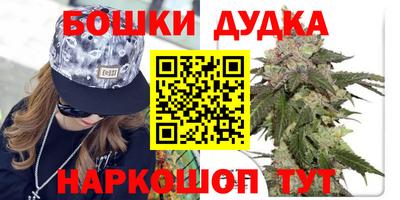 стафф Гатчина