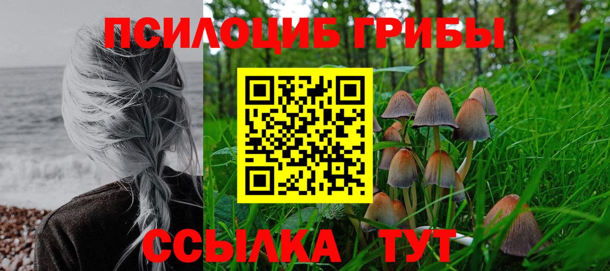 где продают наркотики  Вход с VPN  Заволжье  Псилоцибиновые грибы Cubensis 