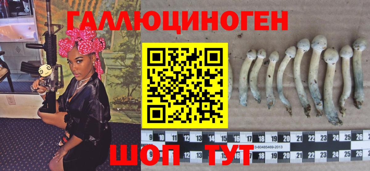 Галлюциногенные грибы GOLDEN TEACHER Заволжье